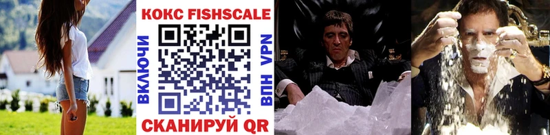 КОКАИН Fish Scale  это какой сайт  Иннополис  как найти  