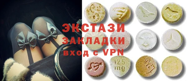 хмурый Алексин