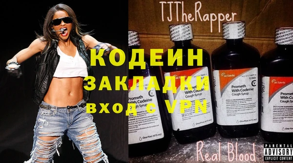 хмурый Алексин