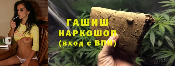 хмурый Алексин