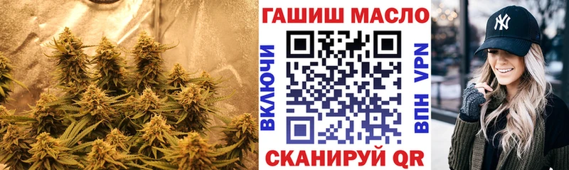кракен ТОР  Иннополис  Дистиллят ТГК вейп 